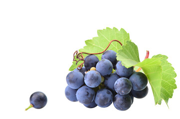 Grapes isolated on white background