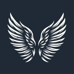 wings vector illustration 