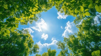 Looking up through lush green tree leaves forming a natural frame around a bright blue sky with scattered white clouds and sunlight