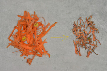 Part of a larger series on environmental and composting education. Top view stages of decomposition...