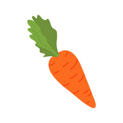 Flat Style Carrot Illustration on White Background