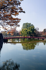 Traditional red bridge over the calm waters of Matsumoto Castle’s moat, surrounded by autumn foliage and lush greenery reflecting in the water