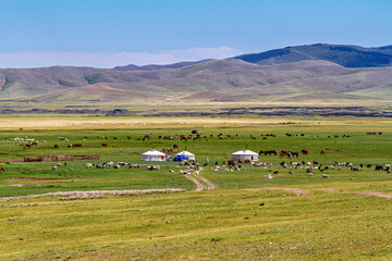 Mongolian Yurt and Camp of nomadic people