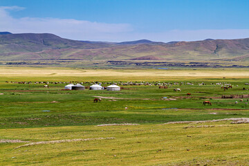 Mongolian Yurt and Camp of nomadic people