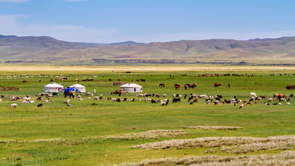 Mongolian Yurt and Camp of nomadic people