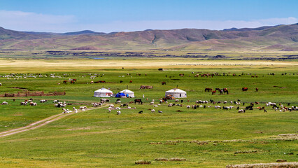 Mongolian Yurt and Camp of nomadic people