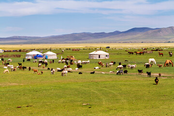 Mongolian Yurt and Camp of nomadic people