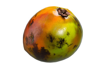 Close up Peach Palm Fruit, food ingredient, isolated, cut out transparent