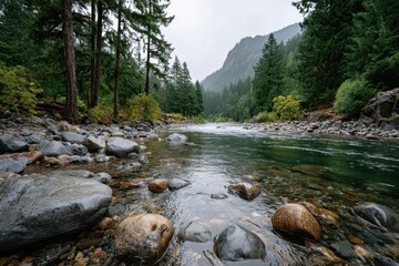 Serene river flows through lush forest landscape in the mountains during a cloudy day