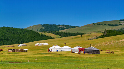Mongolian Yurt and Camp of nomadic people