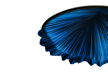 Abstract radial blue lines on black, texture detail, cut out transparent