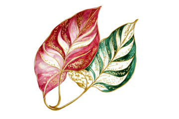 Painted leaf specimen, red and green foliage, gold accents, cut out transparent