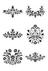 Elegant black and white floral design elements set