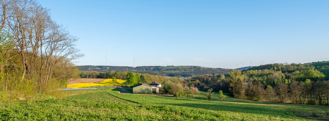 rural landscape with house and rapeseed field in german national park of saar hunsrueck under blue...