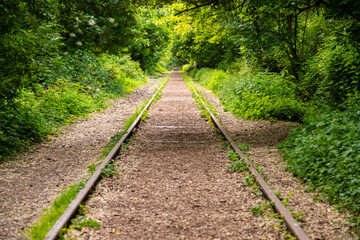 Straight section of track of the former circular railroad “La petite ceinture” in the south of the French capital Paris. The abandoned line is a hidden lost place attraction that is being overgrown.