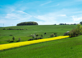 rural landscape with trees and rapeseed field in german national park of saar hunsrueck under blue...