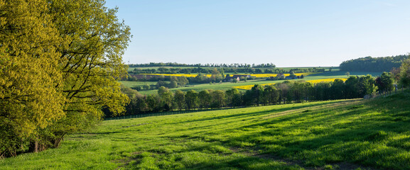 fresh spring colors on trees and fields in german nature park saar-hunsrueck under blue sky