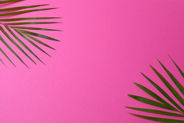 Green palm leaves on color background, space for text