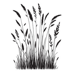 Silhouette of Tall Grass Vector Illustration for Nature Design
