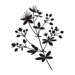 Elegant Wildflower Silhouette Illustration for Floral Designs