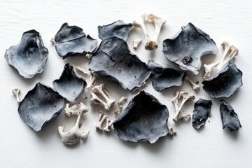 Obraz premium Collection of burnt and charred mushroom caps and white stems arranged on a white background, showing contrasting textures and shapes