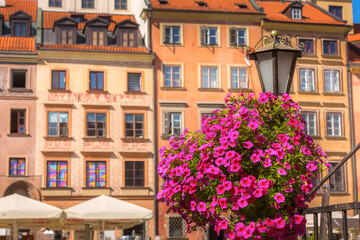 Fototapeta premium Flowers Warsaw, Market square
