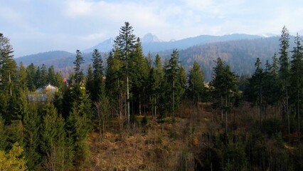 mountain top rocks view from above Zakopane Poland