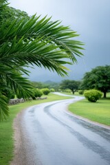 Fototapeta premium Rainy Day on a Winding Road Lush Green Landscape with Palm Fronds