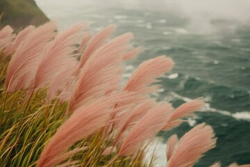 Fototapeta premium Pink grass blows by the ocean