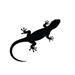 Black lizard silhouette isolated on white background. Lizard icon vector illustration design.