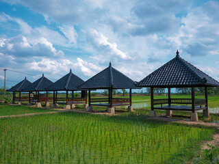 Wooden hut to eat food in the middle of rice fields in indonesia. gazebo, pergola, shack, hovel, cottage in the rice fields