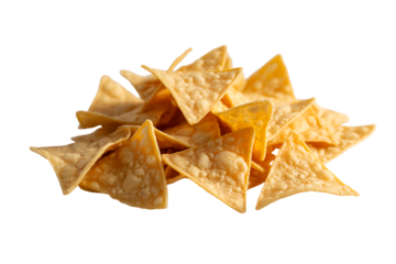 Tortilla Texture isolated