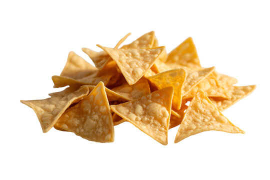 Tortilla Texture isolated