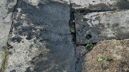 Close-Up View of Wet Pavement and Pothole with Weeds and Debris in Urban Environment in Daylight