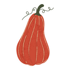 Curved red pumpkin isolated on white background. Illustration with texture. Clip art for design. Vector illustration.
