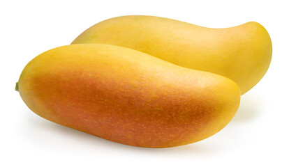 Ripe yellow mango, Mahachanok variety, a tropical fruit with a sweet taste and a sweet smellon isolate on white background with clipping path.