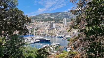 Breathtaking View of Monte Carlo's Marina