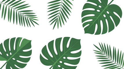 Tropical green leaves monstera palm branches white background