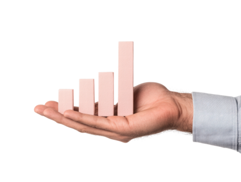Hand holding pink bar chart with increasing growth concept on transparency background