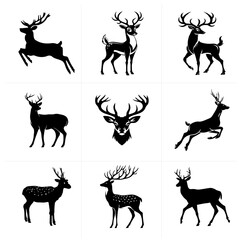 Black and white Vector set 11