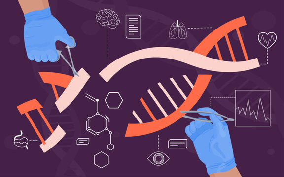 Dna modification. CRISPR CAS9 genetic engineering, gene editing genome sequencing manipulation biology mutation research human baby rna ancestry discovery vector illustration