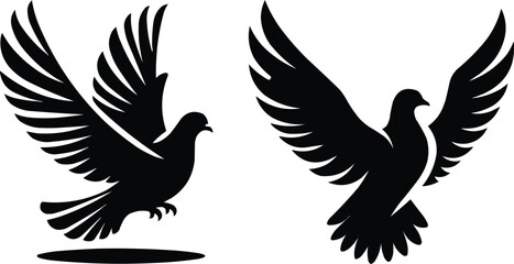Obraz premium dove of peace silhouette vector