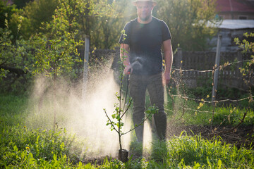 Farmer spraying fertilizer.  Pest control and plant diseases to obtain a large harvest