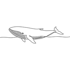 Outline of the profile of a whale in one line
