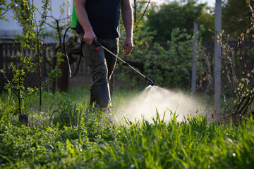 Farmer spraying fertilizer.  Pest control and plant diseases to obtain a large harvest
