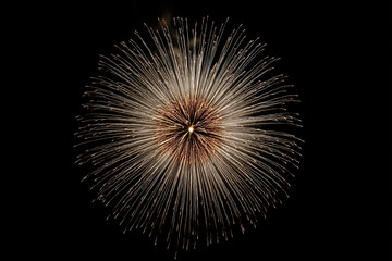 Fototapeta premium 015-069-046-u8969375333_Firework_with_a_Starburst_Pattern_Silhouette_--ar_d6c20e22-d316-4a1d-8feb-4cc3e467058d_1