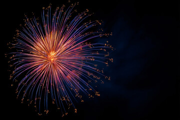 Fototapeta premium 015-069-051-u8969375333_Firework_with_a_Sunburst_Effect_Silhouette_--ar_3_65e504e7-0a75-4396-90f6-2829ee6d060e_2