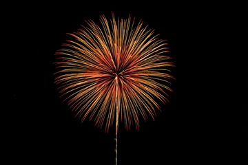 015-069-056-u8969375333_Firework_with_Multiple_Exploding_Layers_Silhouett_493a562a-cfe0-4b54-92f3-97a92f6ab052_3