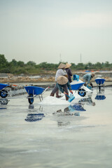 Workers gather salt from drying pools using buckets in Hon Knoi Ninh Hoa. Manual harvesting after evaporation, natural sea salt collect, traditional method, small scale production local economy