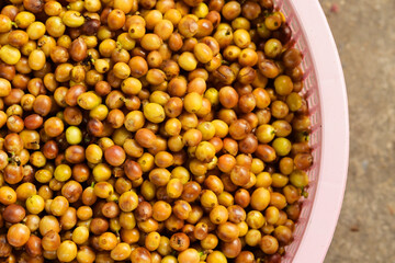 Fresh coffee bean in basket